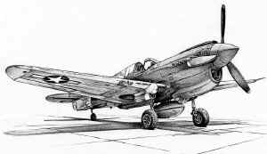 P-40.jpg (48397 bytes)